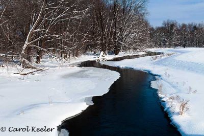 Crusoe Creek East