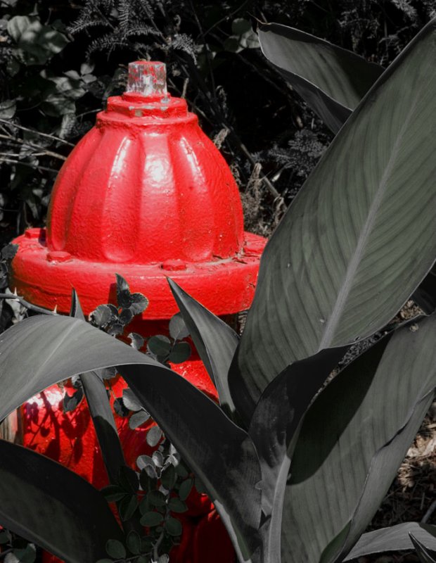 Fire Plug and leaves