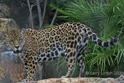 g1/07/758307/3/112257659.xjfA5HfA.jpg