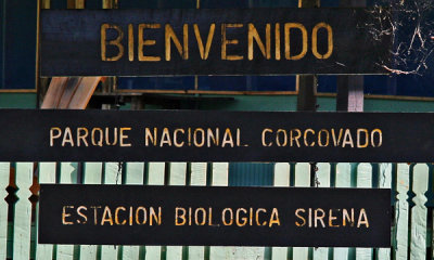 WELCOME TO CORCOVADO NATIONAL PARK - SIRENA BIOLOGICAL STATION