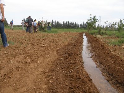 irrigation channel