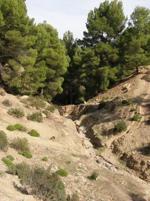 gully in Takrouna