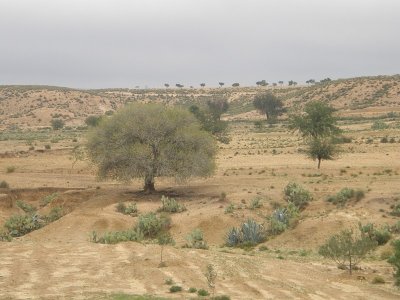 Kasserine