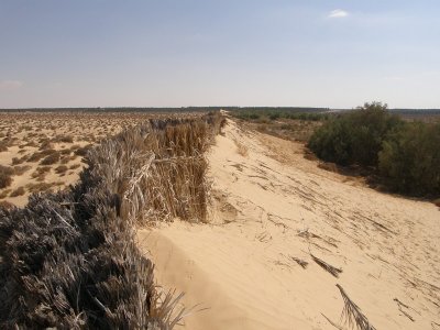 Dunes