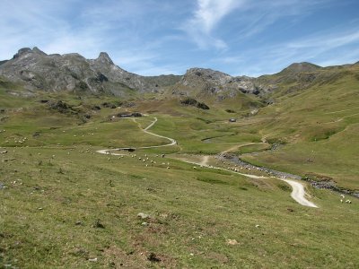 Pyrenees