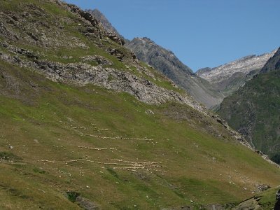 Pyrenees