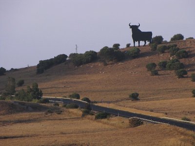 Bull along the road