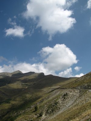 Pyreneeën