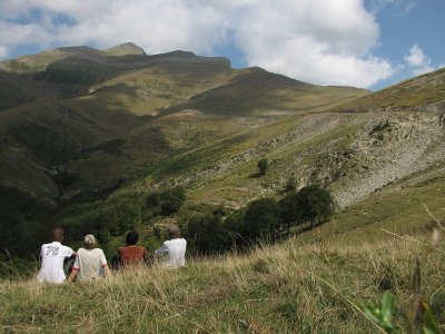 Pyreneen