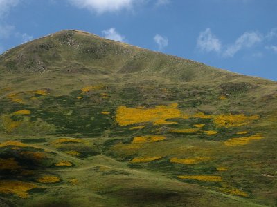 Col d'aubisque