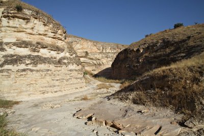 Main Wadi
