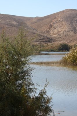 Yeruham Lake