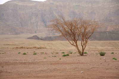 Timna Park