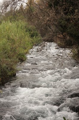 De Jordaan / Jordan River