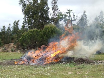 Brandstapel