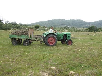 Tractor