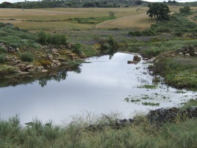 Rivier (Plek Ralreiger)
