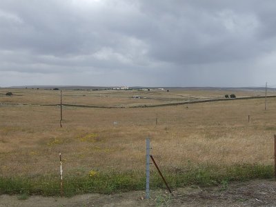Steppes