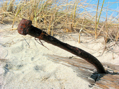 Rusty nail at the beach