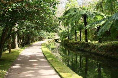 The garden has trees from North America, Australia, New Zealand, China and South Africa