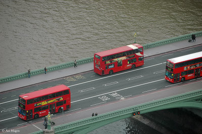 London Buses (London, UK)
