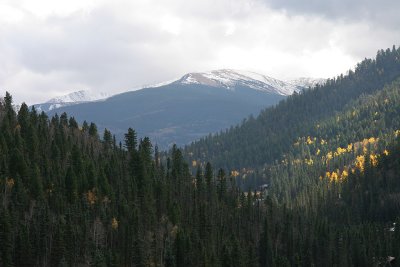 IMG_6308_ce.jpg
