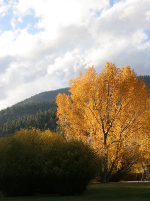 IMG_6434_ce.jpg