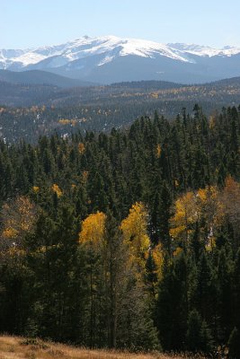 IMG_8761_ce.jpg