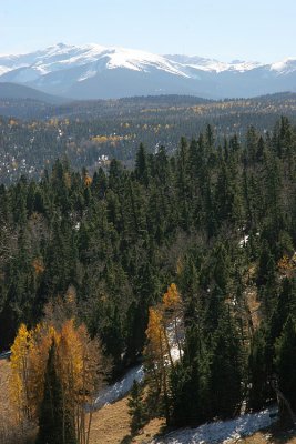 Fall Scenes