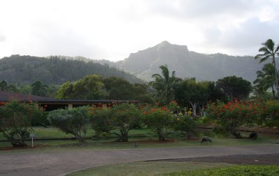 Smith's Tropical Paradise Luau