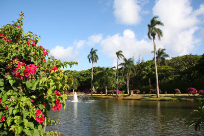 Smith's Tropical Paradise Luau