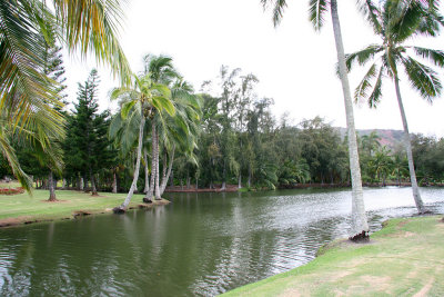 Smiths Tropical Paradise Luau