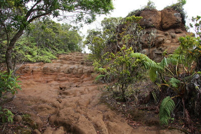 Pu'u o Kila lookout trail