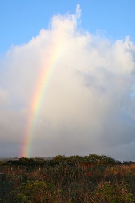 Rainbow near Japanese cemetery