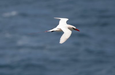 g1/07/808107/3/115859323.tKbwd3C0.jpg