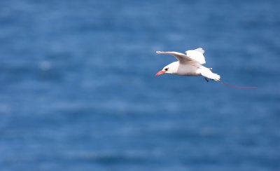 g1/07/808107/3/115859337.D7UQ1E5v.jpg