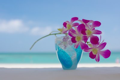 orchid and Ryukyu glass