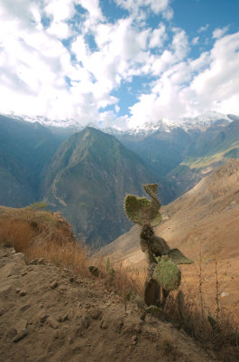 Trek to Choquequirao #2.