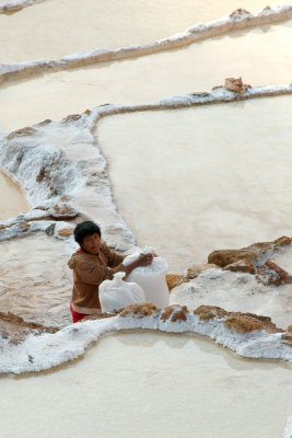 Salinas #8.