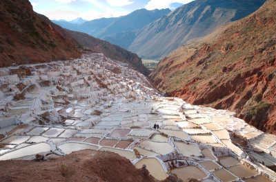 Salinas #7.