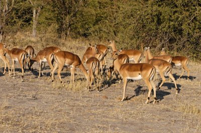 Img_034.JPG