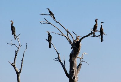 Img_220.JPG