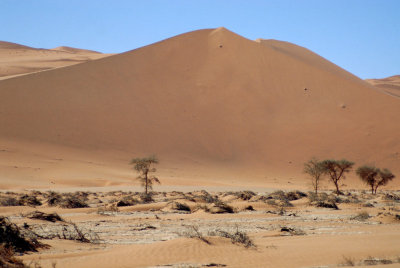 Img0018.JPG