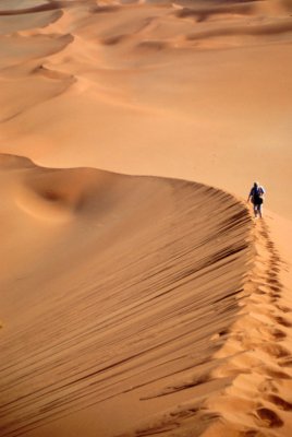 Img0024.JPG