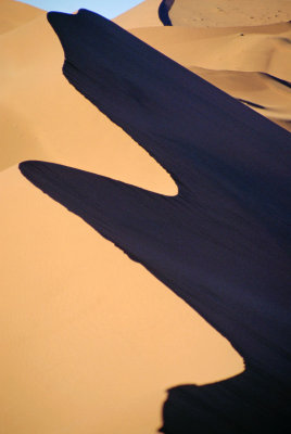 Img0026.JPG