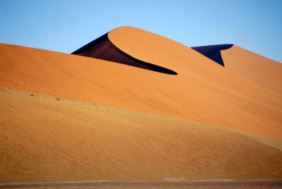 Img0031.JPG