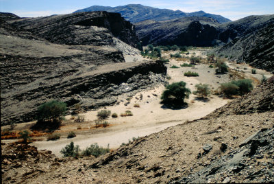 Img0036.JPG