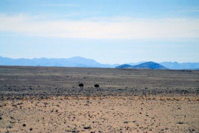 Img0038.JPG