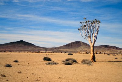 Img0039.JPG