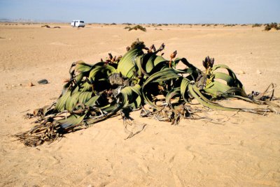 Img0042.JPG
